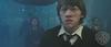 Thumb_113