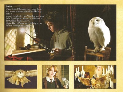 Normal_poa_ultimatecollectorsedition_booklet_006