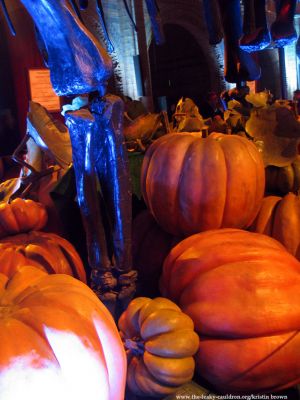 Normal_pumpkinsp