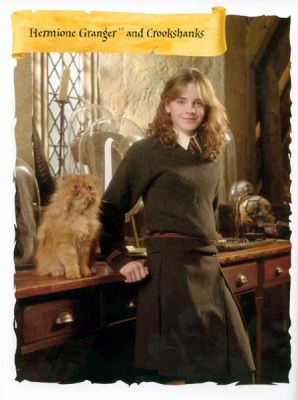 Normal_x_posterbook_05_hermione