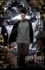 Thumb_x_poa_poster_eng_harry