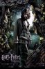 Thumb_x_poa_poster_eng_sirius
