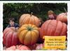 Thumb_x_posterbook_17_trio_pumpki