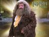 Thumb_x_website_hagrid_03