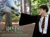 Thumb_x_website_harry_02