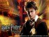Thumb_x_website_harry_07
