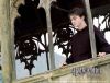 Thumb_x_website_harry_bridge