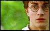 Thumb_x_website_harry_close