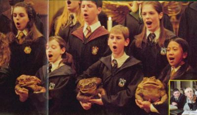 Normal_poa_frogchoir