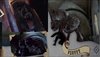 Thumb_products_books_filmwizardry6