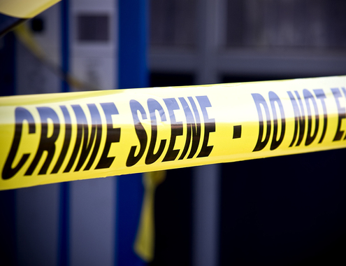 Son hacks 65 year old mother to death