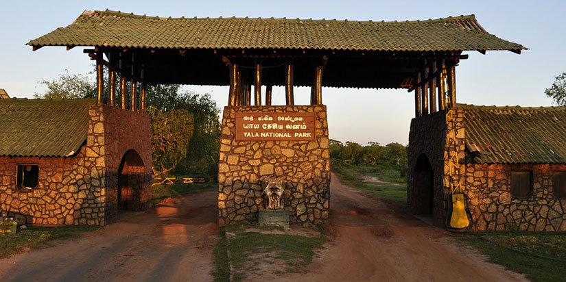 12,000 acres in Yala under threat