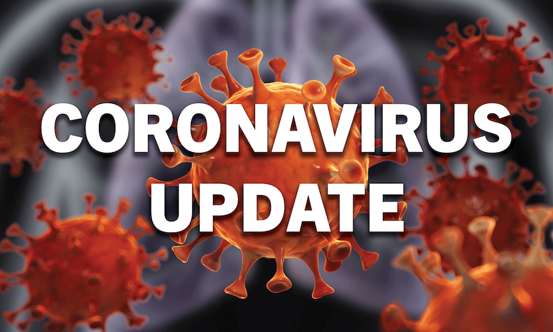 Covid-19: Pandemic crisis to end in 3-6 months