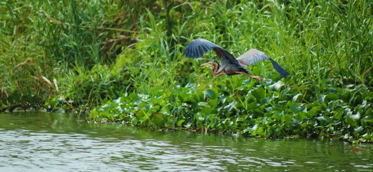 LIOC resumes fuel distribution The Morning Sri Lanka News