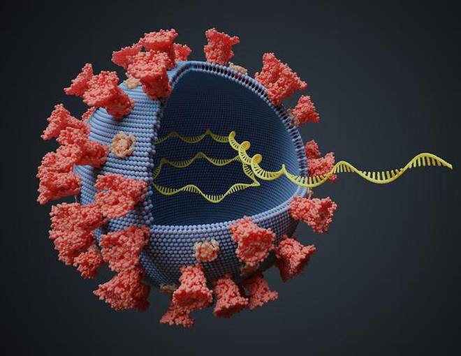India&rsquo;s Covid variant a factor for rapid spread: WHO scientist