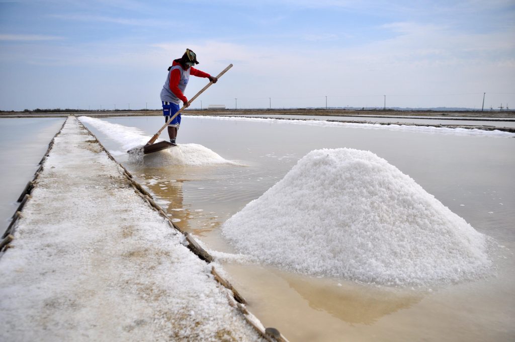 No salt shortage Ministry of Industries The Morning Sri Lanka News