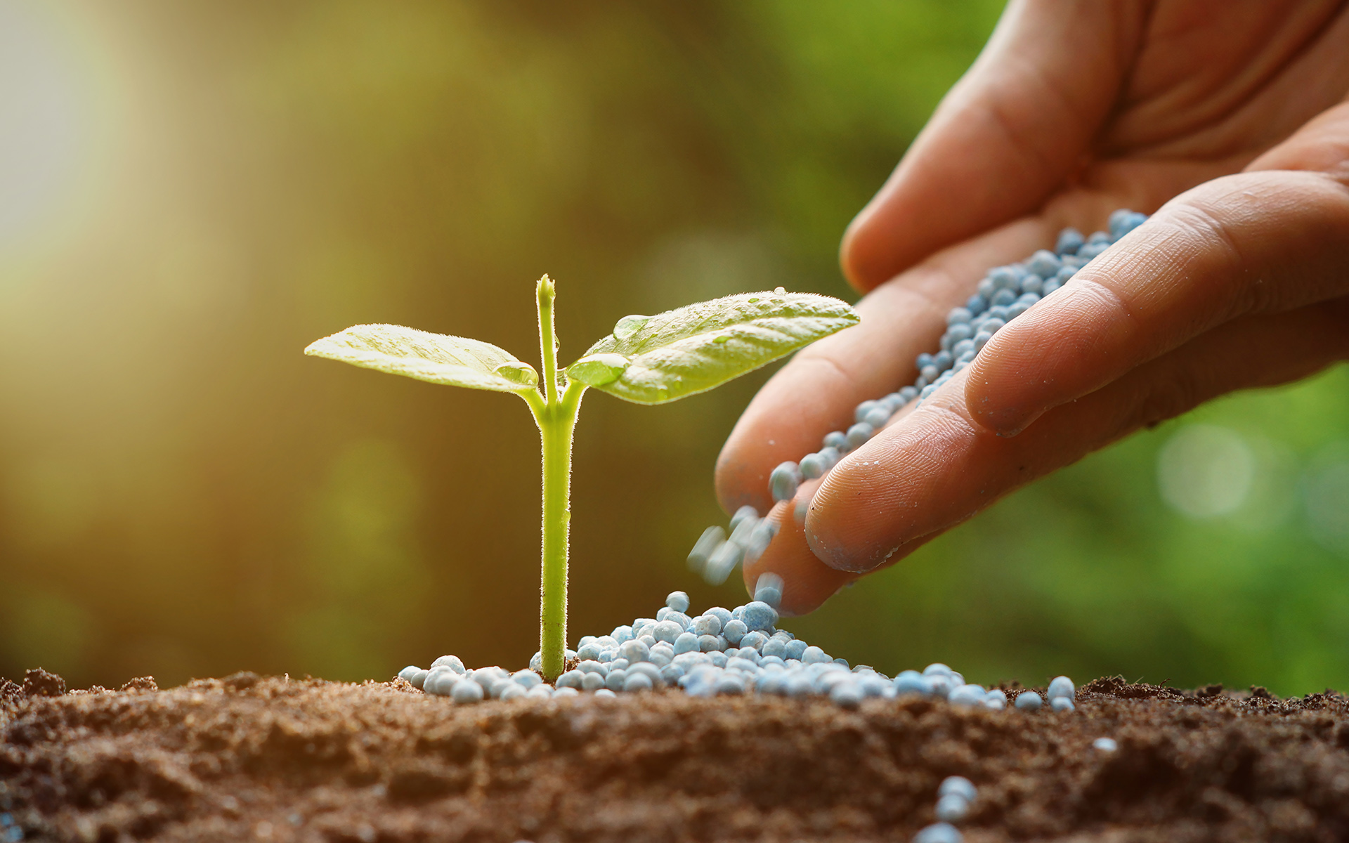 Certain fertilisers to be imported: Local organic fertiliser production continues