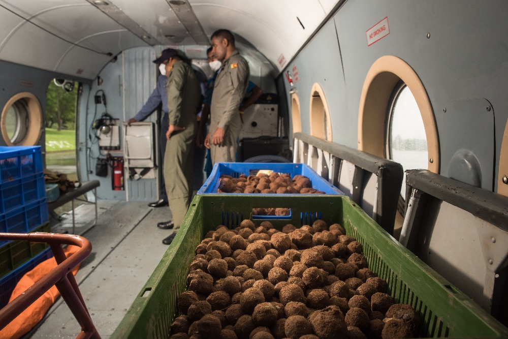 ‘Seed bombing’ in SL: How successful has it been?