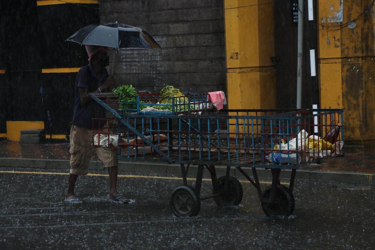 Human dignity and livelihoods