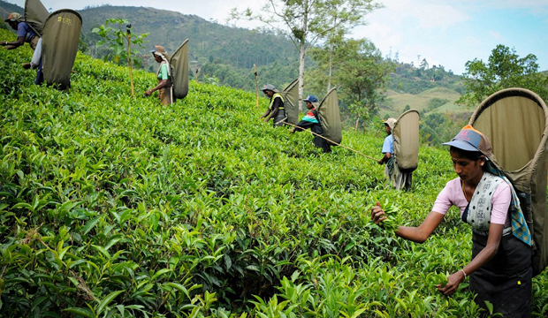 Human safety must come before commercial gain