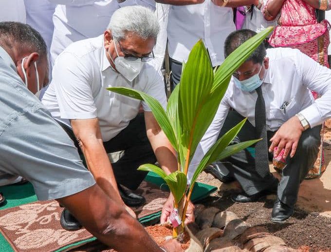 President begins programme to plant 4 m coconut saplings