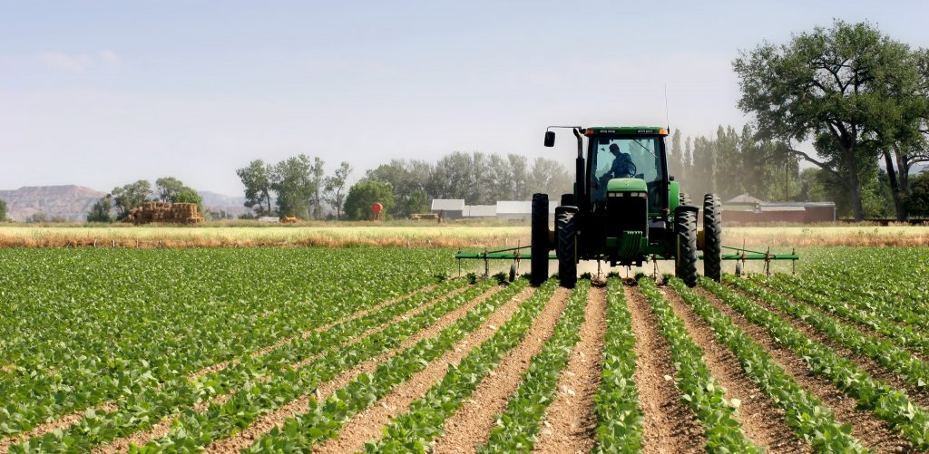 Decline likely in crop yields