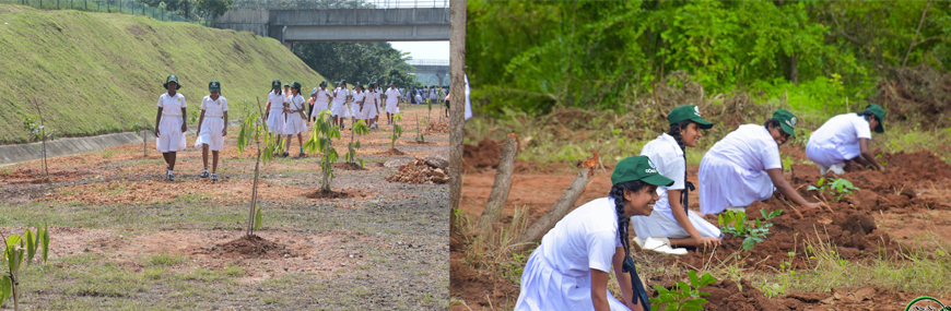 Planting the seeds of consciousness in our youth