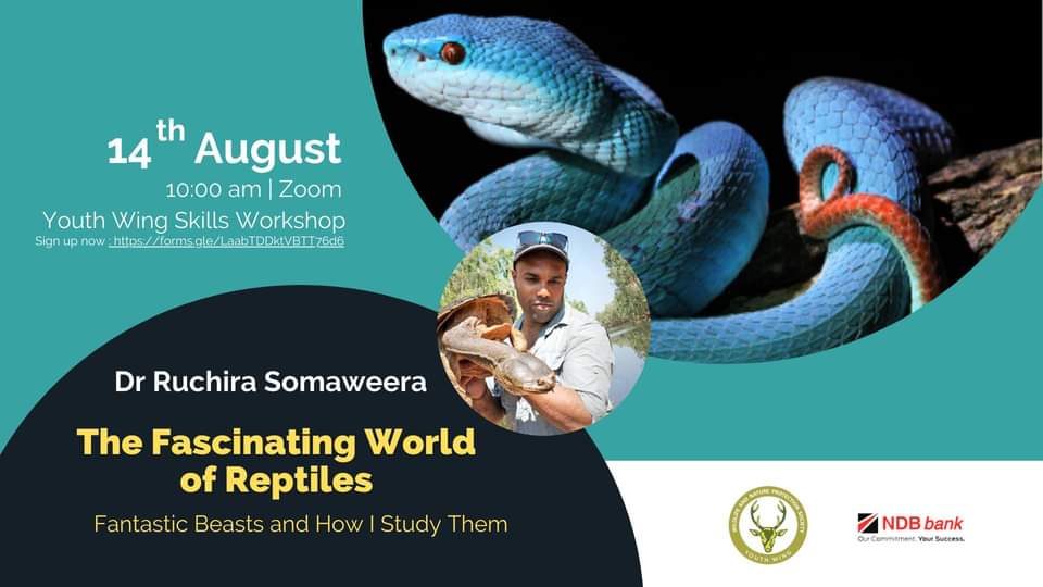 A WNPS Youth Skills Workshop: Reptiles need protection too