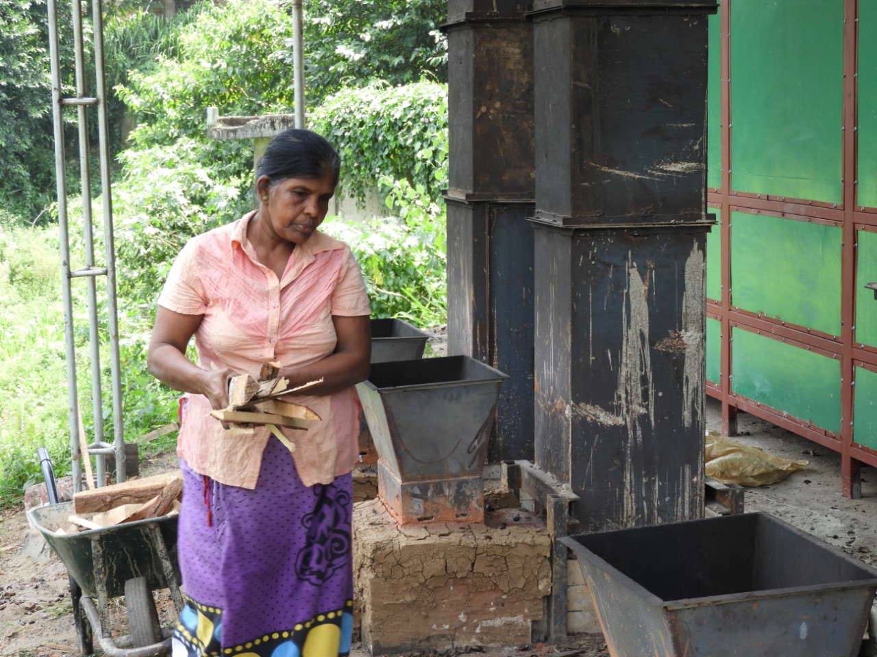Energy poverty and inequality in Sri Lanka