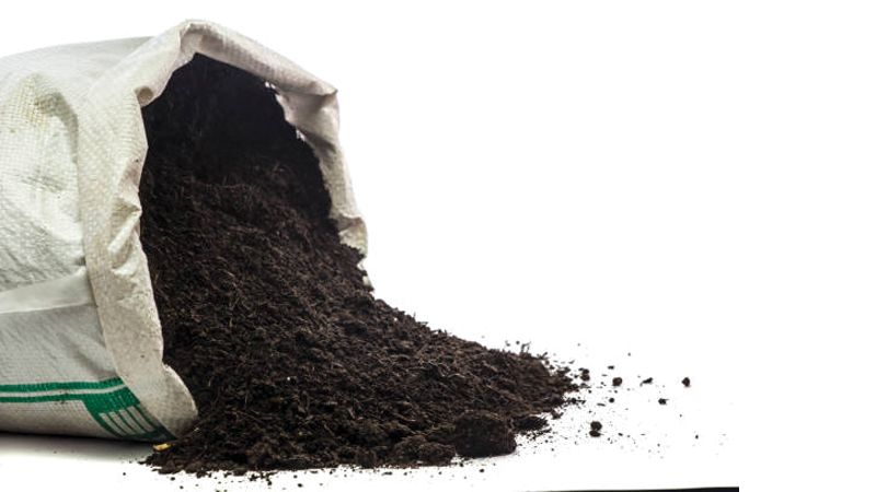 State companies to buy organic from local producers