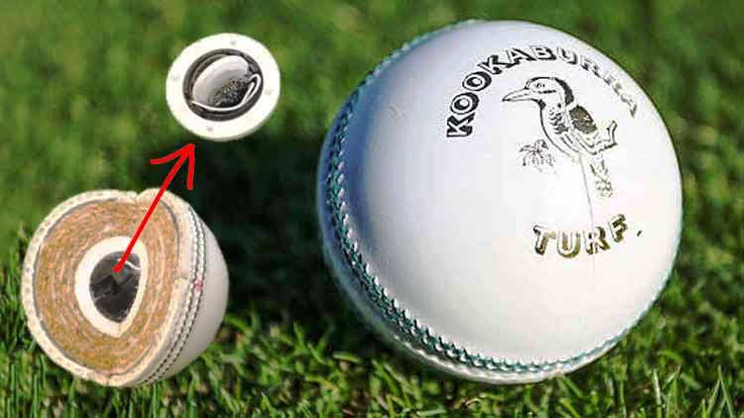 HOW CRICKET GOES “SMART”