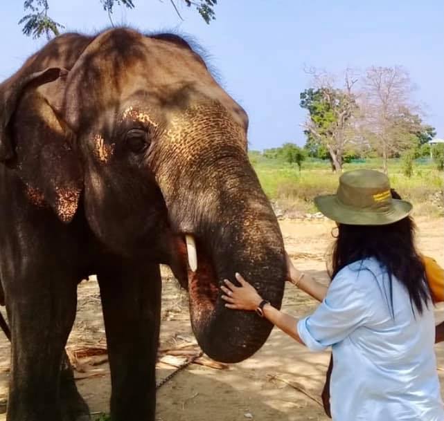 Zoo workers seek President intervention to ‘reverse’ resignation