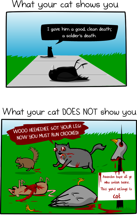 How much do cats actually kill wu153.wordpress.com