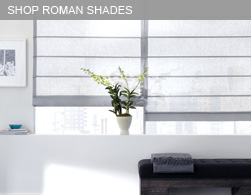 Shop Roman Shades