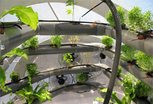 ETFE Systems