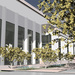 Morgan Hill Rendering 1