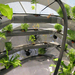 Urban Space Station 3