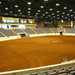 Kentucky Horse Park 1