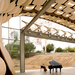Wild Beast Music Pavilion 1