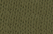 Military_green
