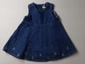 Baby Gap Dress