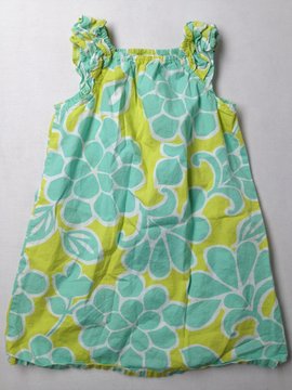 Cherokee Dress