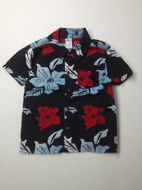 Gymboree Short-sleeve Button-down 4T