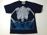 Route 66 Short Sleeve