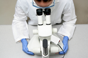 Microscope