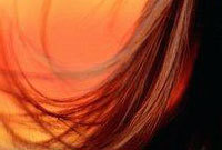 Brown-hair-side