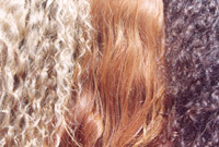 Same-haircut-different-hairstyles-long-layers-side