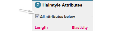 Hairstyles search option 2