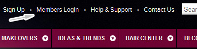 Top page log in link