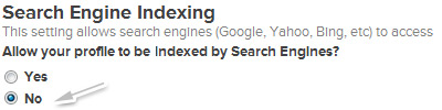 Search index option